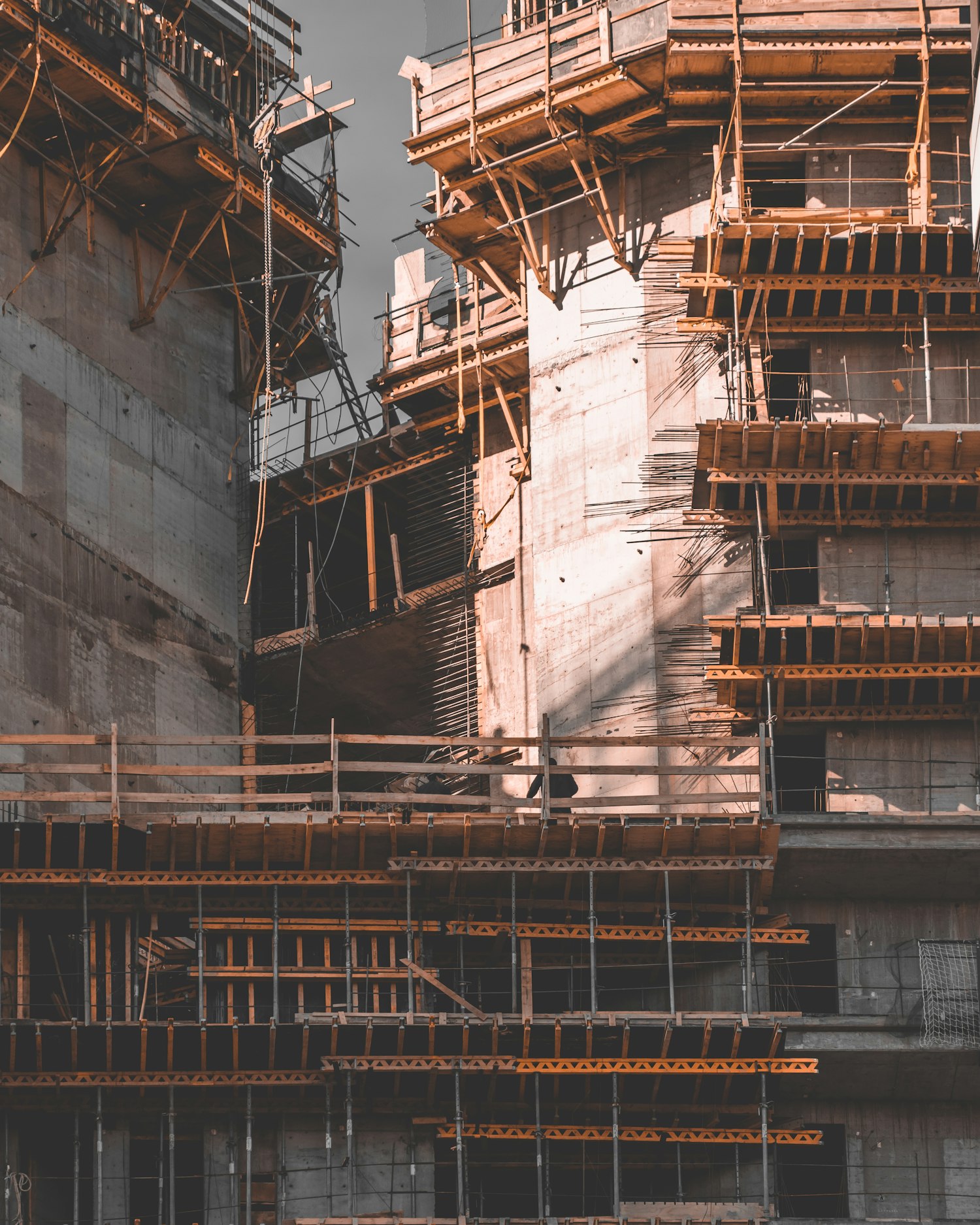 Photo 1551711974 6b8358aa847e 2