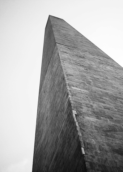 pexels photo 999092 999092.webp